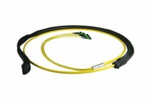 MPO Loose Tube Trunk